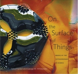 On the Surface of Things: Images of the Extraordinary in Science